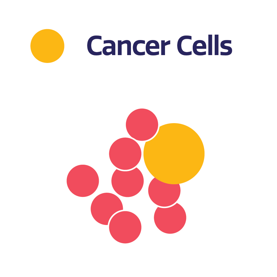Diagram concept — PARP inhibition and DNA repair (illustrative)